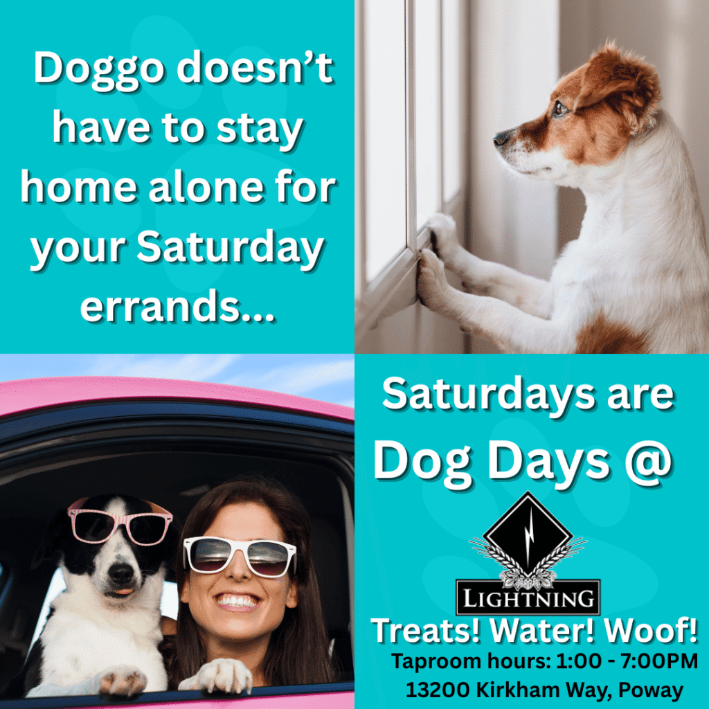 Dog Friendly Brewery Poway
